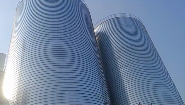 楚雄2座混凝土高架卷板仓